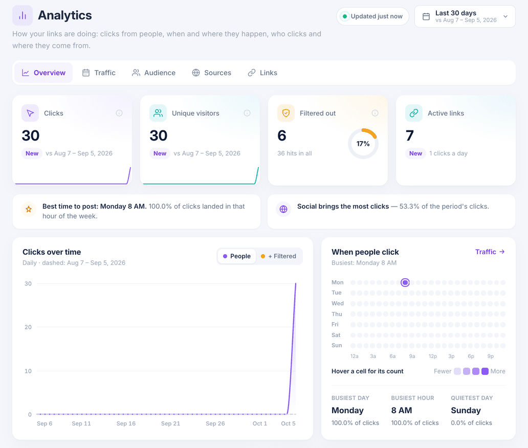 The Analytics overview with click totals, a clicks-over-time chart and a heatmap of busy hours