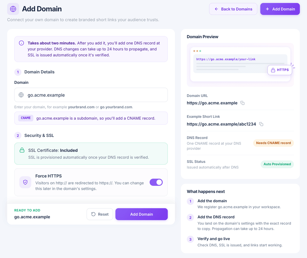 The Add Domain page with a domain entered and Force HTTPS switched on
